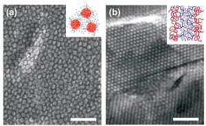 2015 RSC advances
