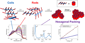 2017 Macromol
