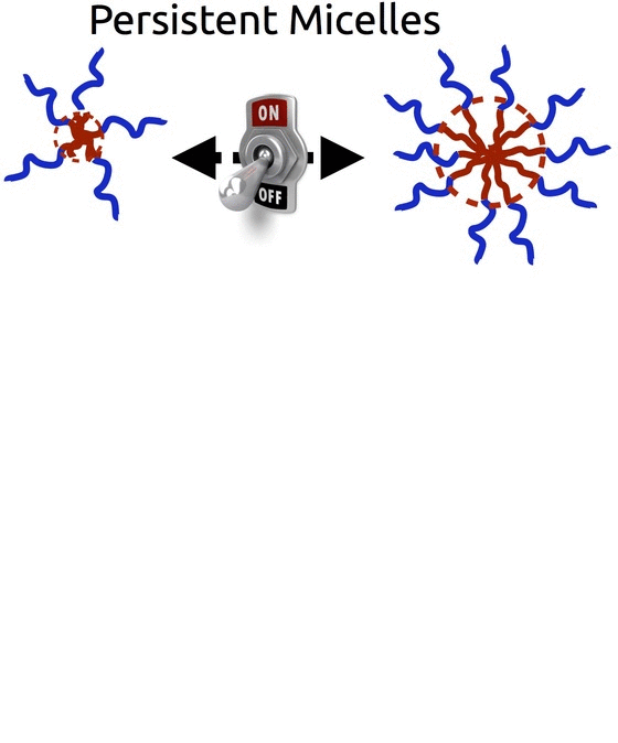 pmt_animation